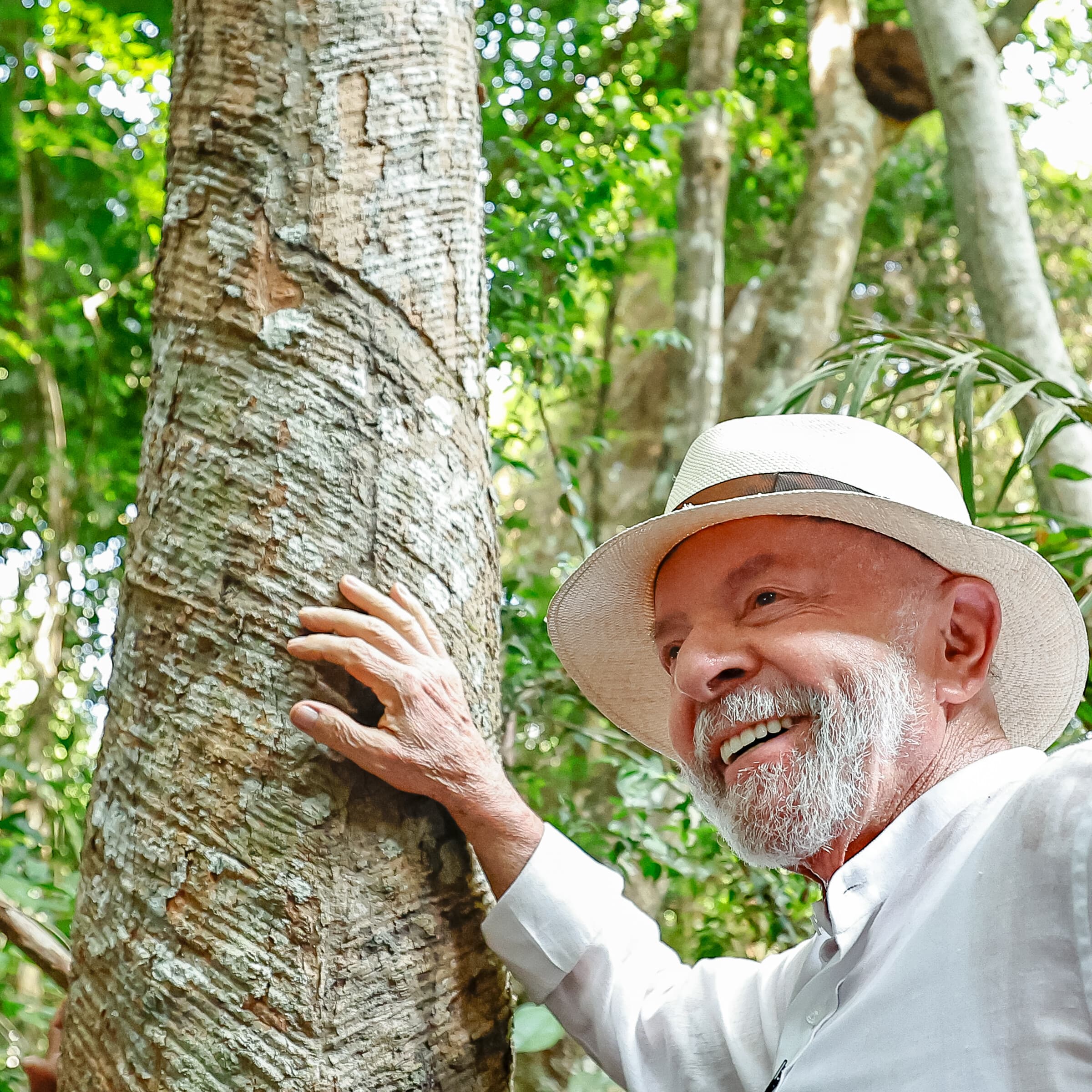 COP30 na Amazônia: iniciativas contra a crise climática ganham destaque
