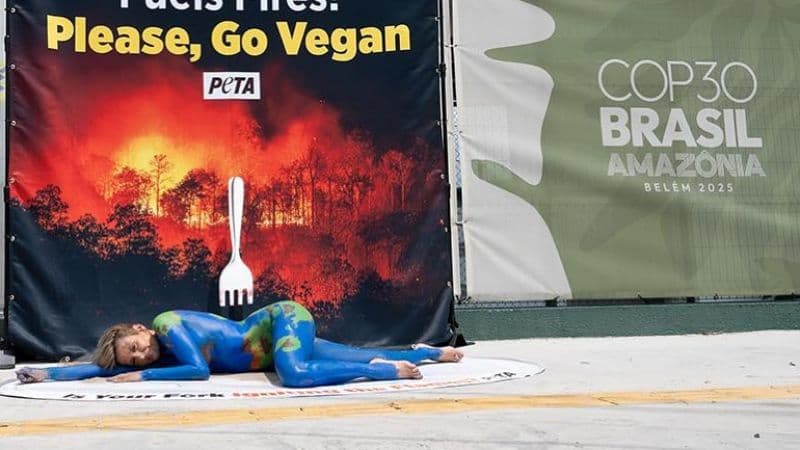 Luisa Mell critica cardápio da COP30 em Belém e pede mais opções veganas