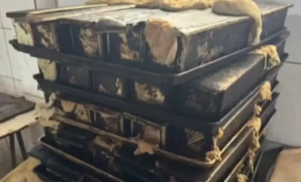 Vigilância Sanitária interdita padaria por irregularidades em Vitória da Conquista, Bahia