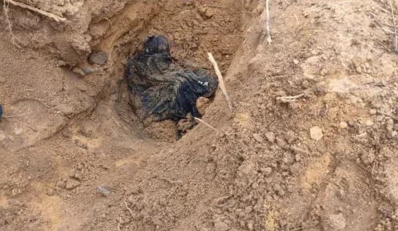 Corpo de homem encontrado em cova rasa em Serrolândia, Bahia; polícia investiga