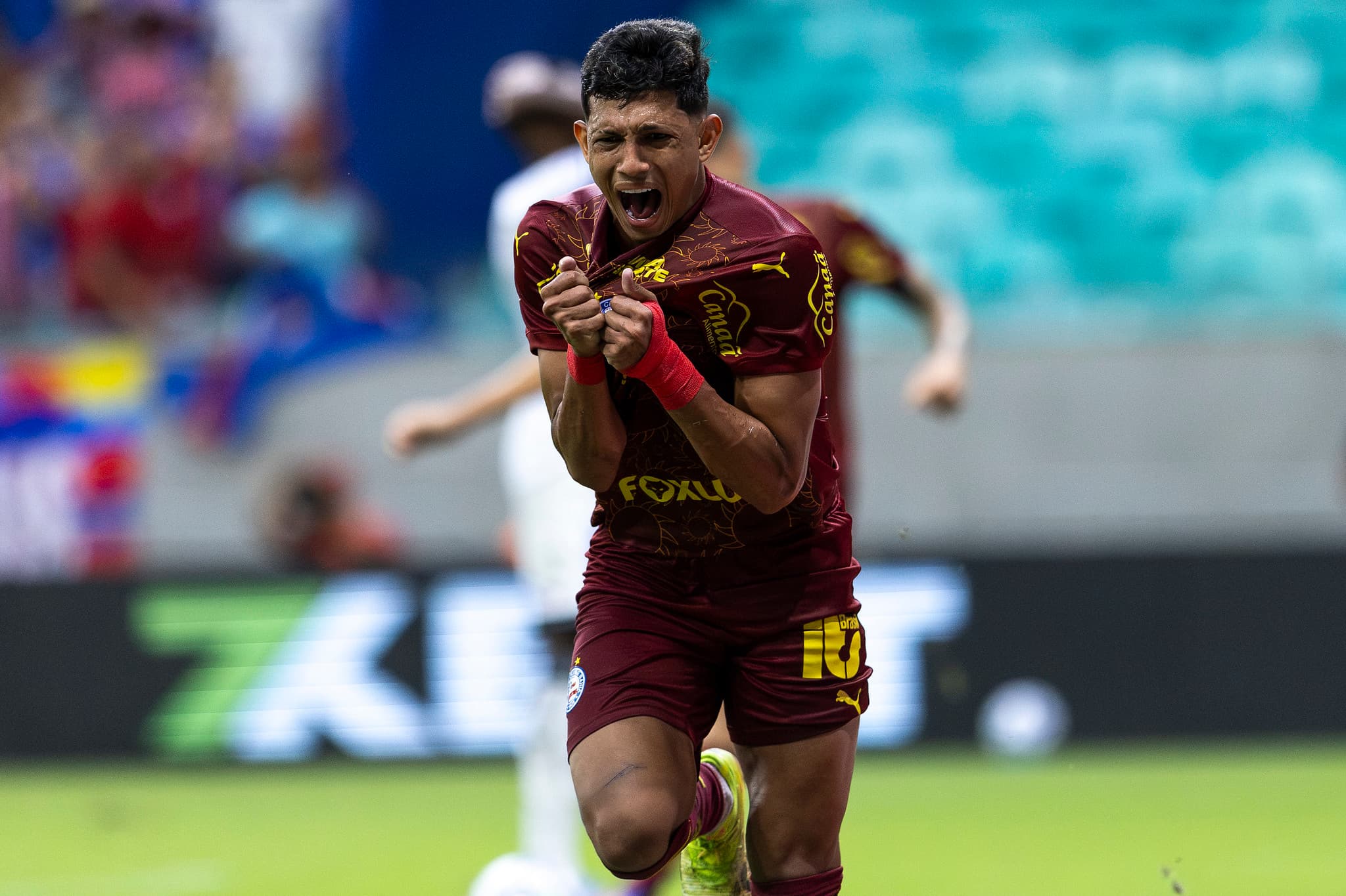 Bahia assegura vaga na Libertadores 2026 após vitória do Fluminense no Brasileiro