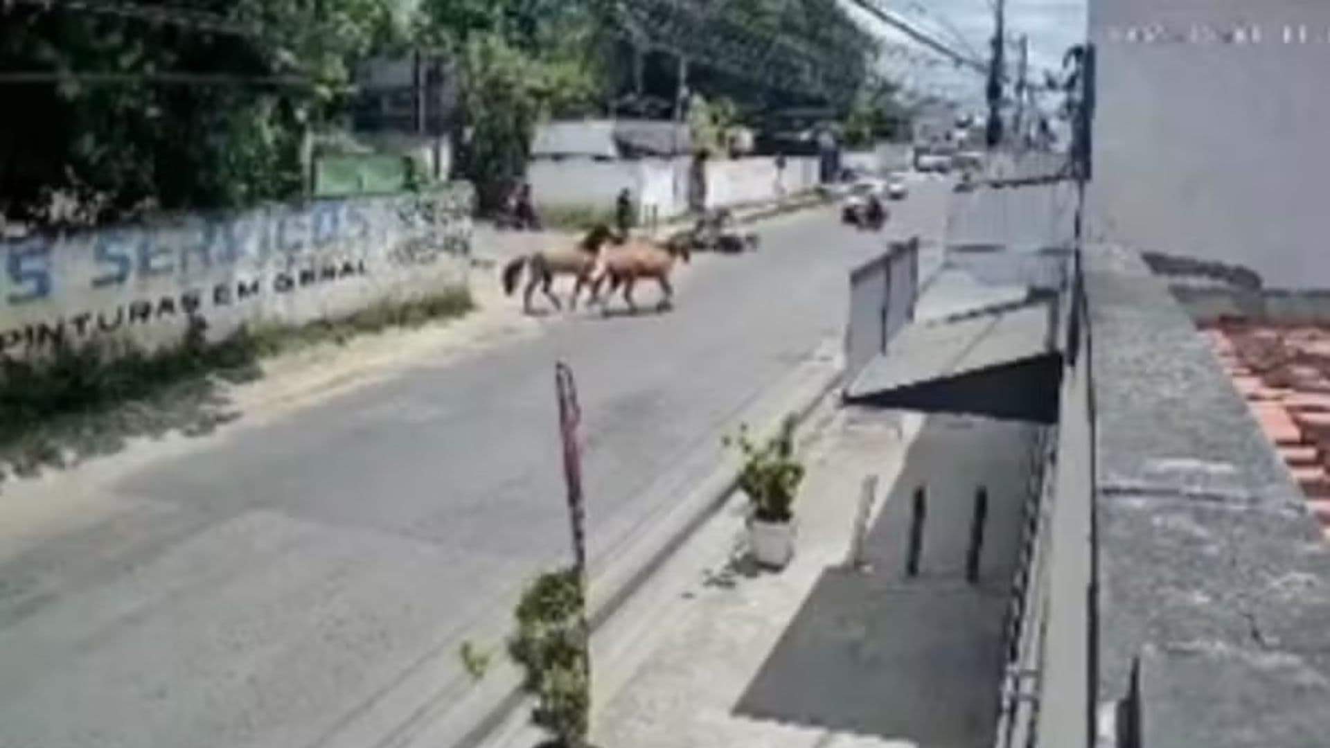 Motociclista é atropelado por cavalos no Tomba, Feira de Santana