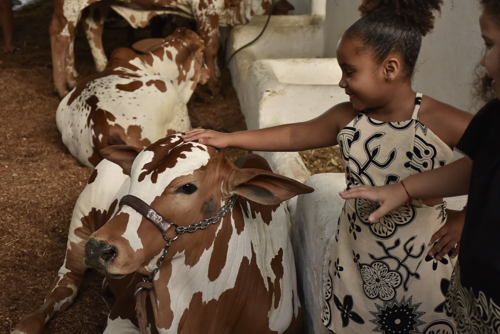 Último dia de entrada gratuita na Fenagro 2025 com doação de alimentos na Bahia