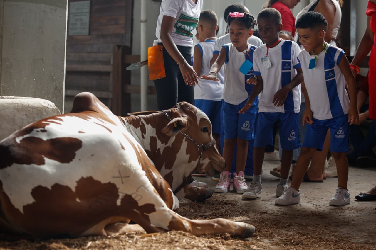 Fenagro 2025 destaca bichos influencers e adoção de pets em evento