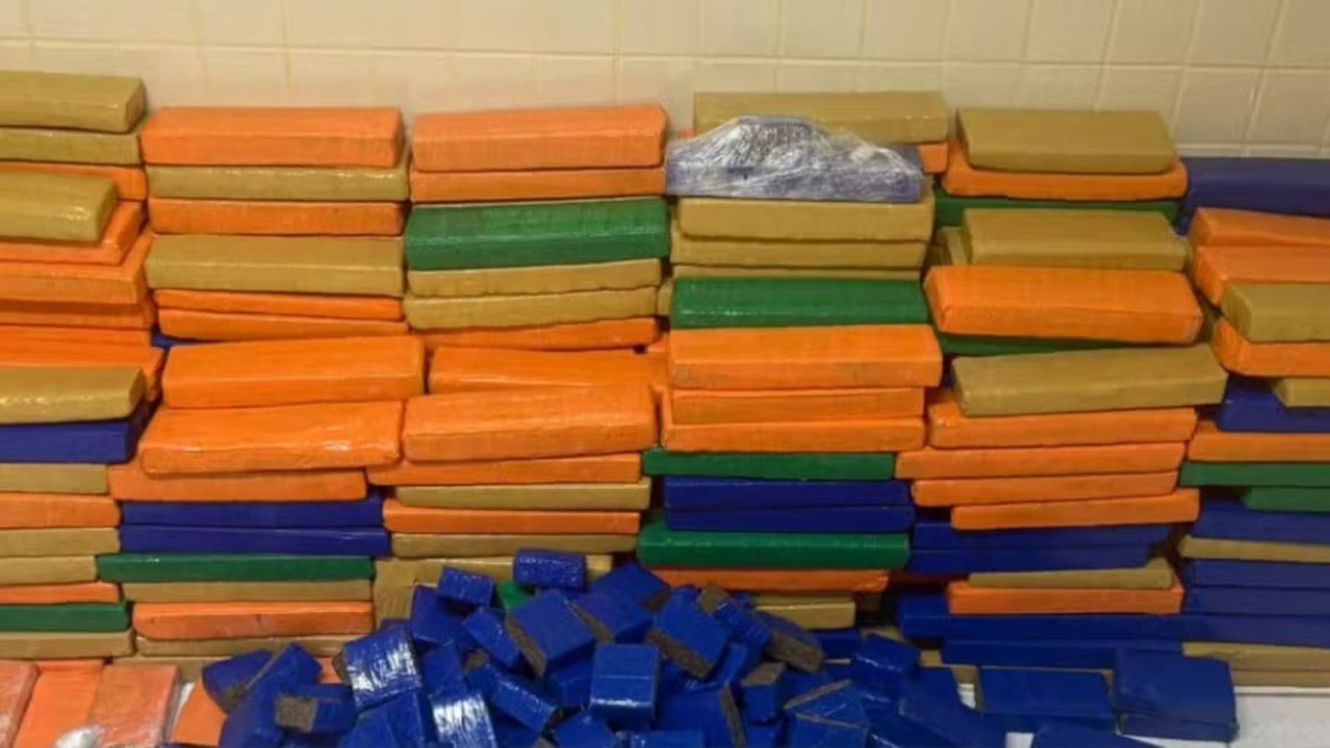 Polícia apreende quase 1 tonelada de maconha em Simões Filho, Bahia