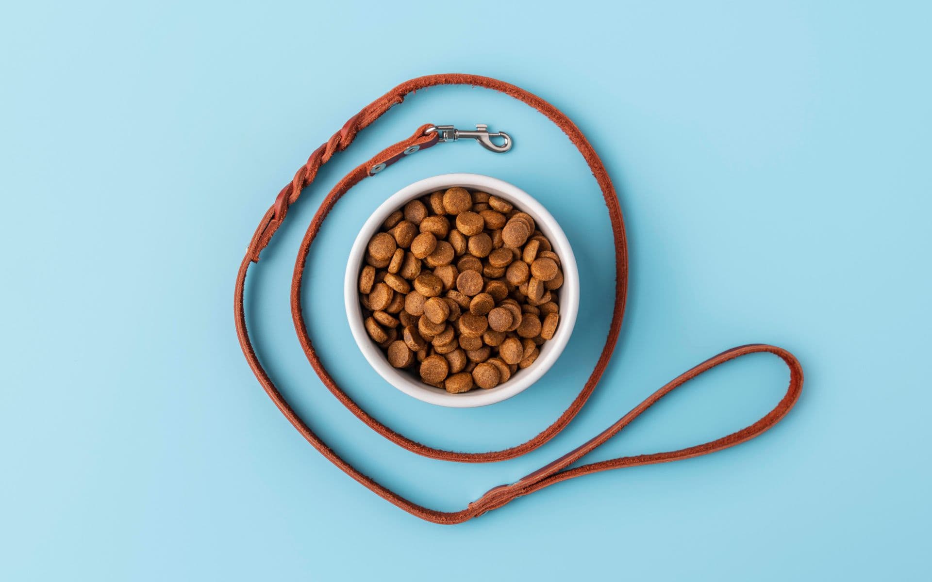 Hobby dogging cresce na Alemanha com passeios de cães invisíveis