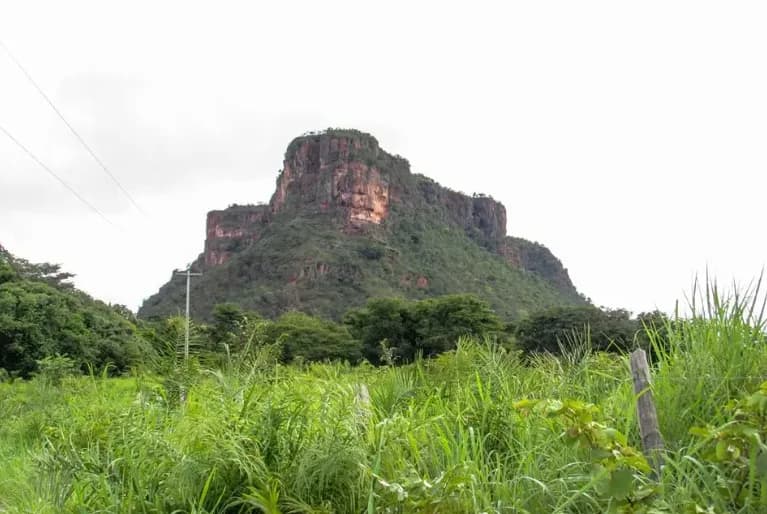 Chapada Diamantina: 'Estrada da Vinícola' pode impulsionar turismo em 2026