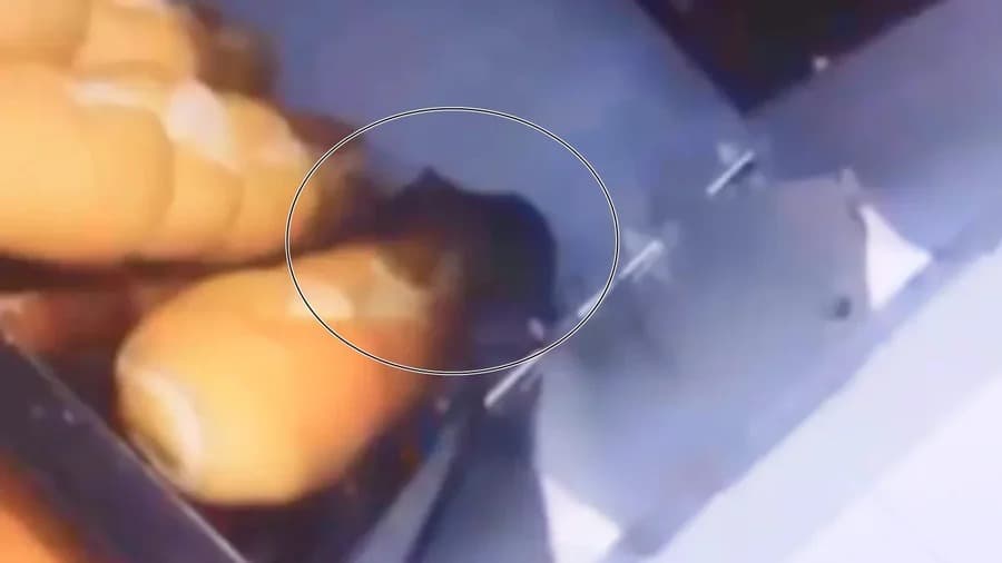 Supermercado em Goiás é interditado após ratos em pães e leite vencido