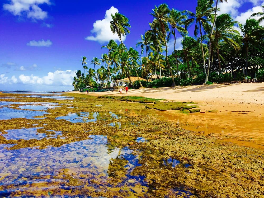 Carnaval 2026: Bahia e outros destinos oferecem folia e tranquilidade no mar