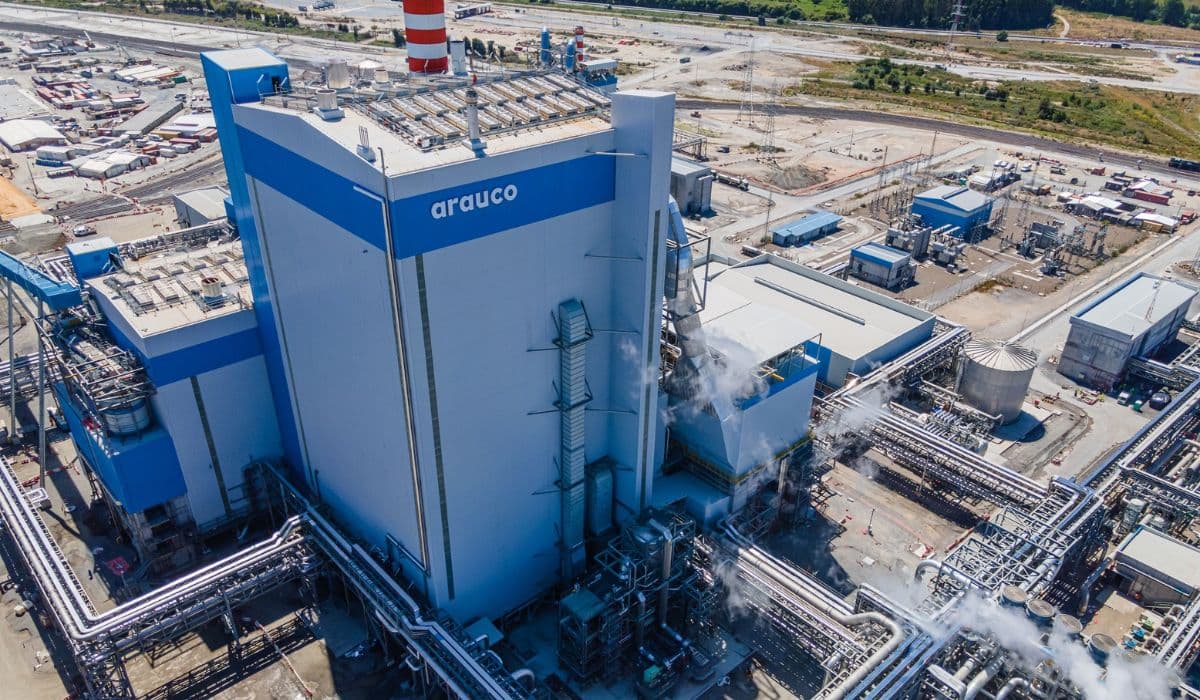 Megafábrica de Celulose no Mato Grosso do Sul Terá Ferrovia Privada