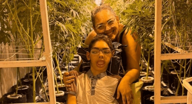 Mãe luta e transforma vida: 1ª fazenda de cannabis medicinal surge em Pernambuco