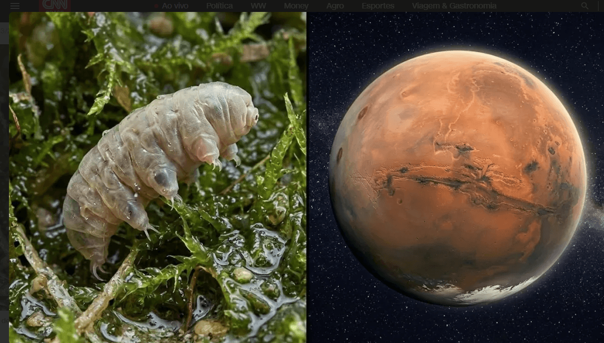 Solo de Marte atua como escudo natural contra micróbios da Terra