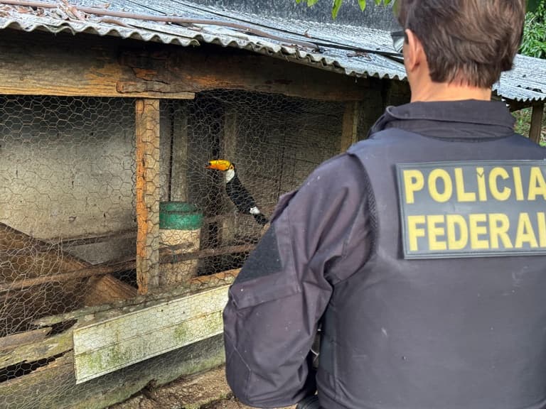 PF investiga tráfico de animais em extinção da Bahia para o exterior