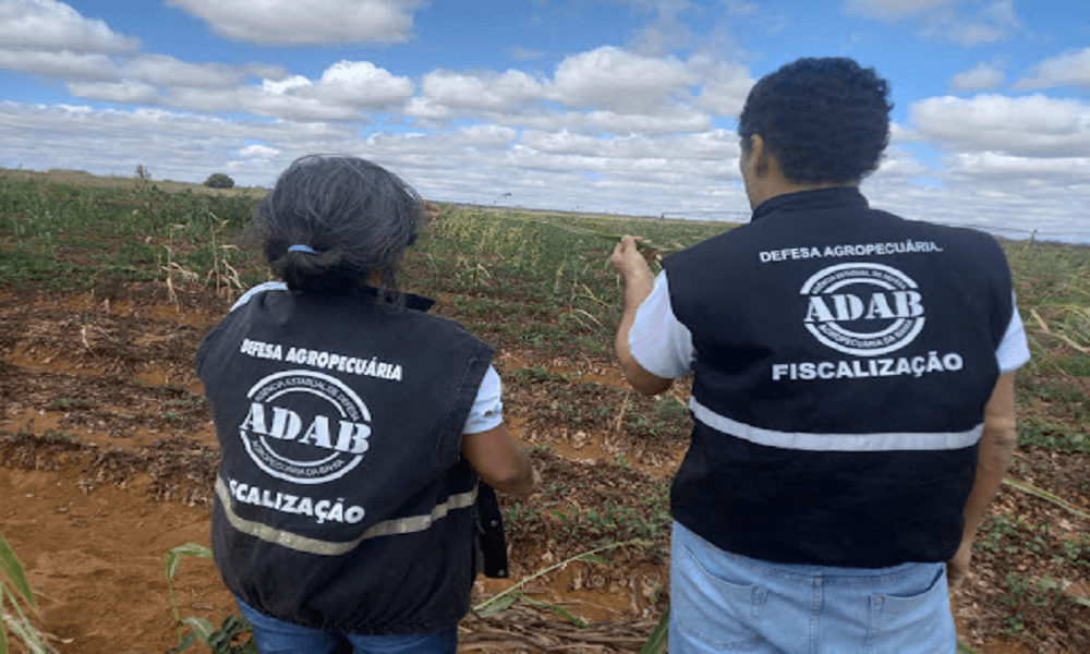 Concurso Adab na Bahia reabre inscrições para 200 vagas em níveis técnico e superior