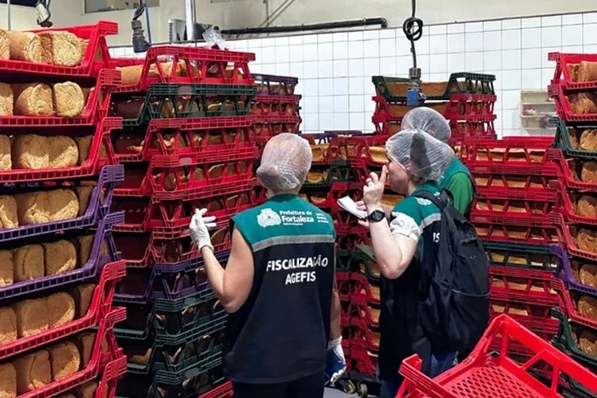 Fábrica de pães é interditada em Fortaleza por infestação de baratas