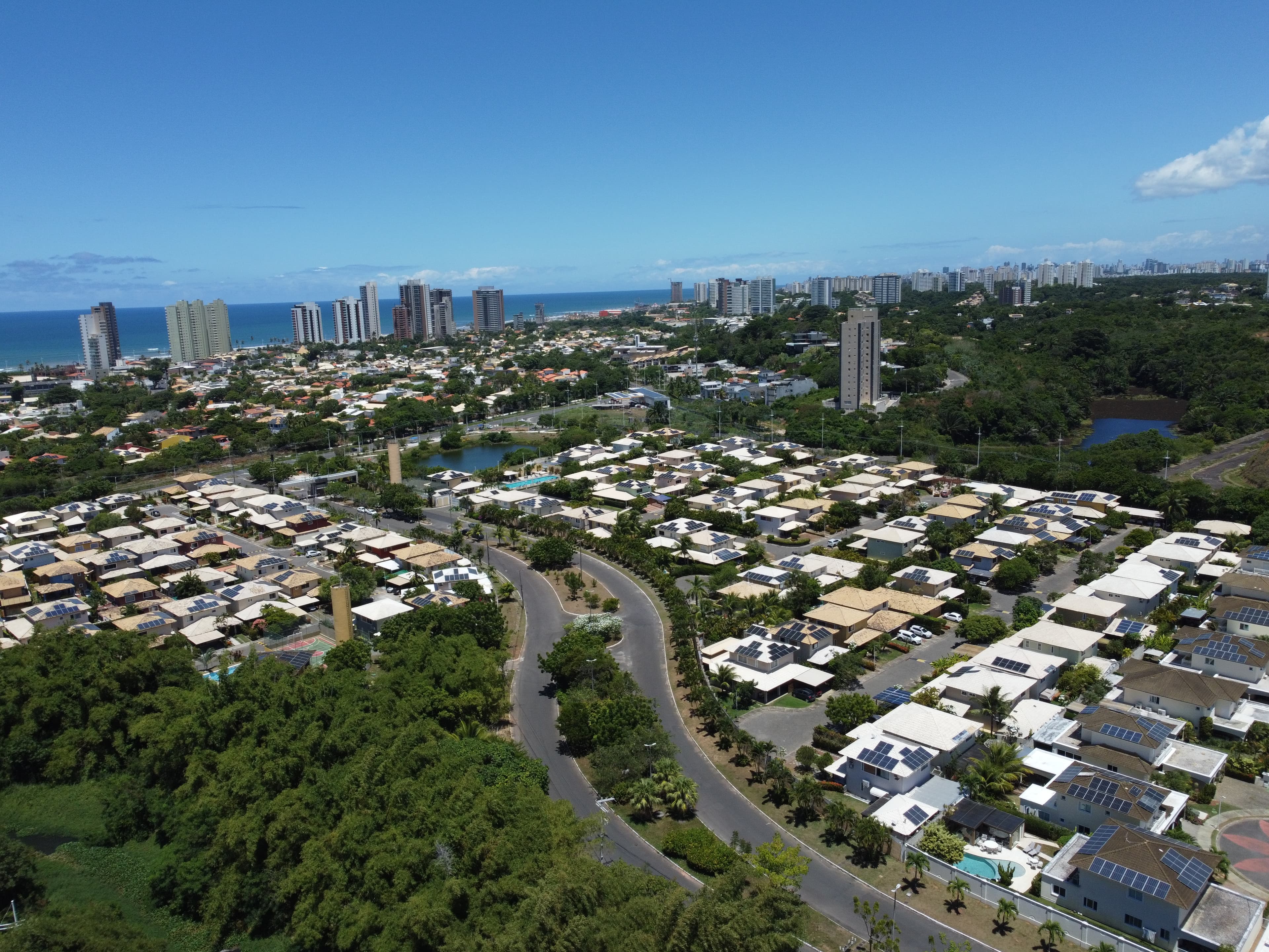Verde desigual: 33% dos bairros de Salvador não têm cobertura vegetal