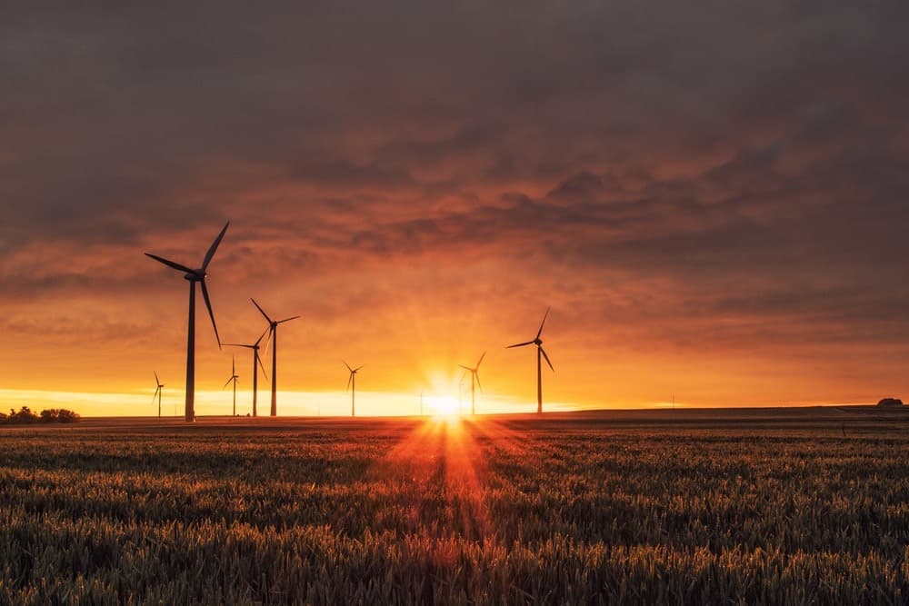 Salvador sedia evento sobre futuro da energia com foco em renováveis