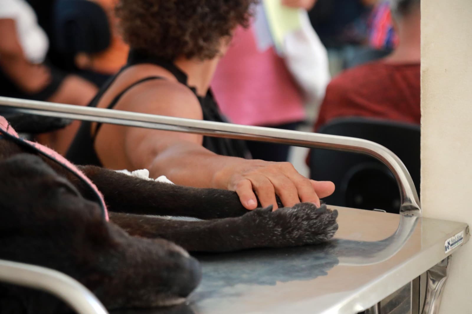 Hospital Veterinário de Salvador realiza mais de 337 mil atendimentos em 2 anos