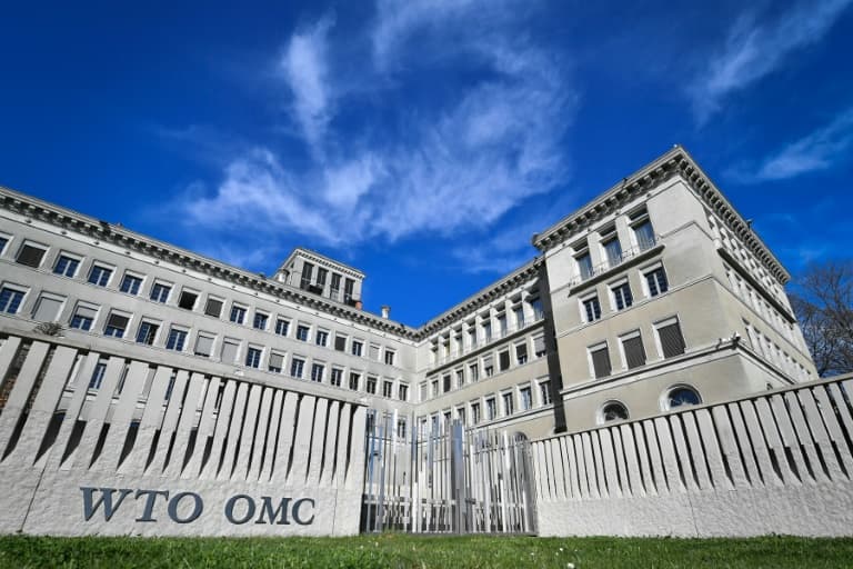 OMC: Brasil trava acordo global sobre comércio digital e moratória expira