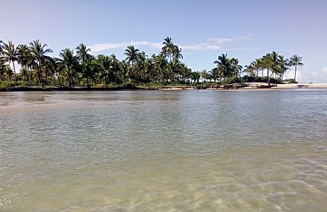 Corpo de homem decapitado é achado em praia de Ilhéus, no sul da Bahia