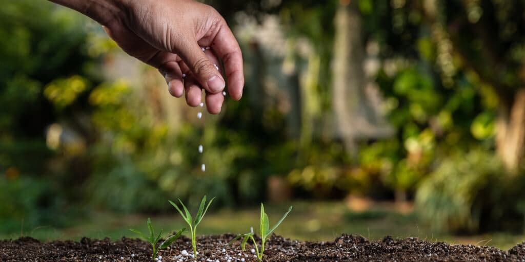 Bahia alerta para crise de fertilizantes com terminal interditado em Salvador