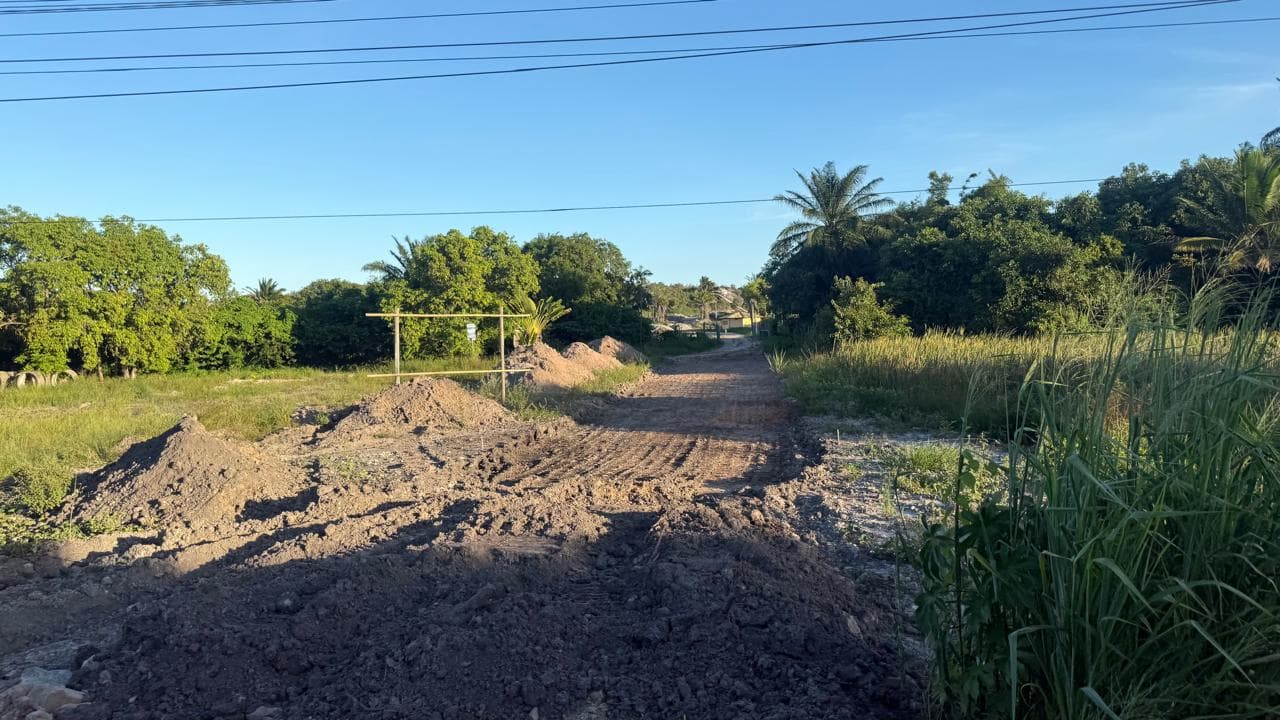 Disputa familiar por terreno na Bahia vira caso de crime ambiental