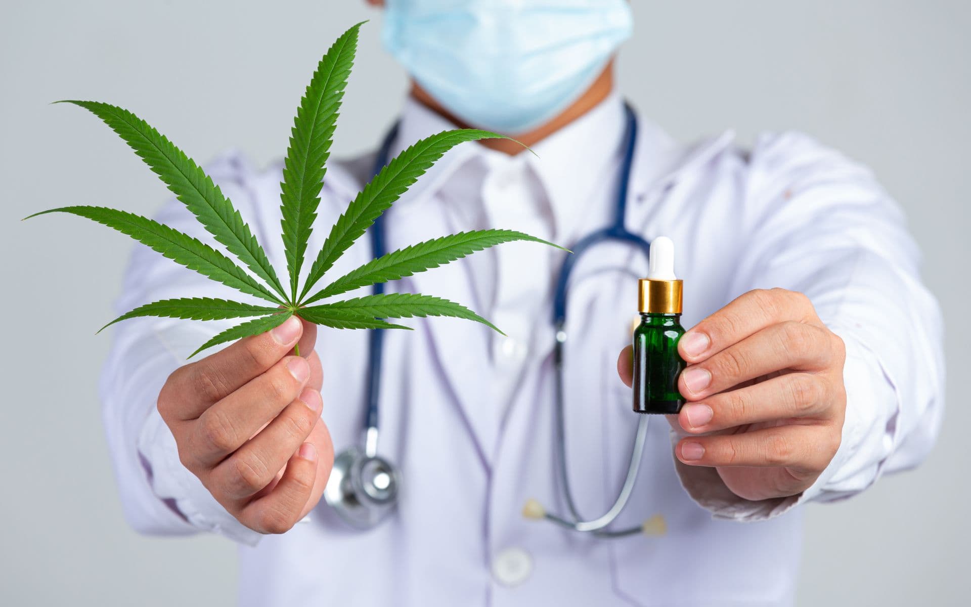 Procura por cannabis medicinal cresce no Brasil, aponta pesquisa