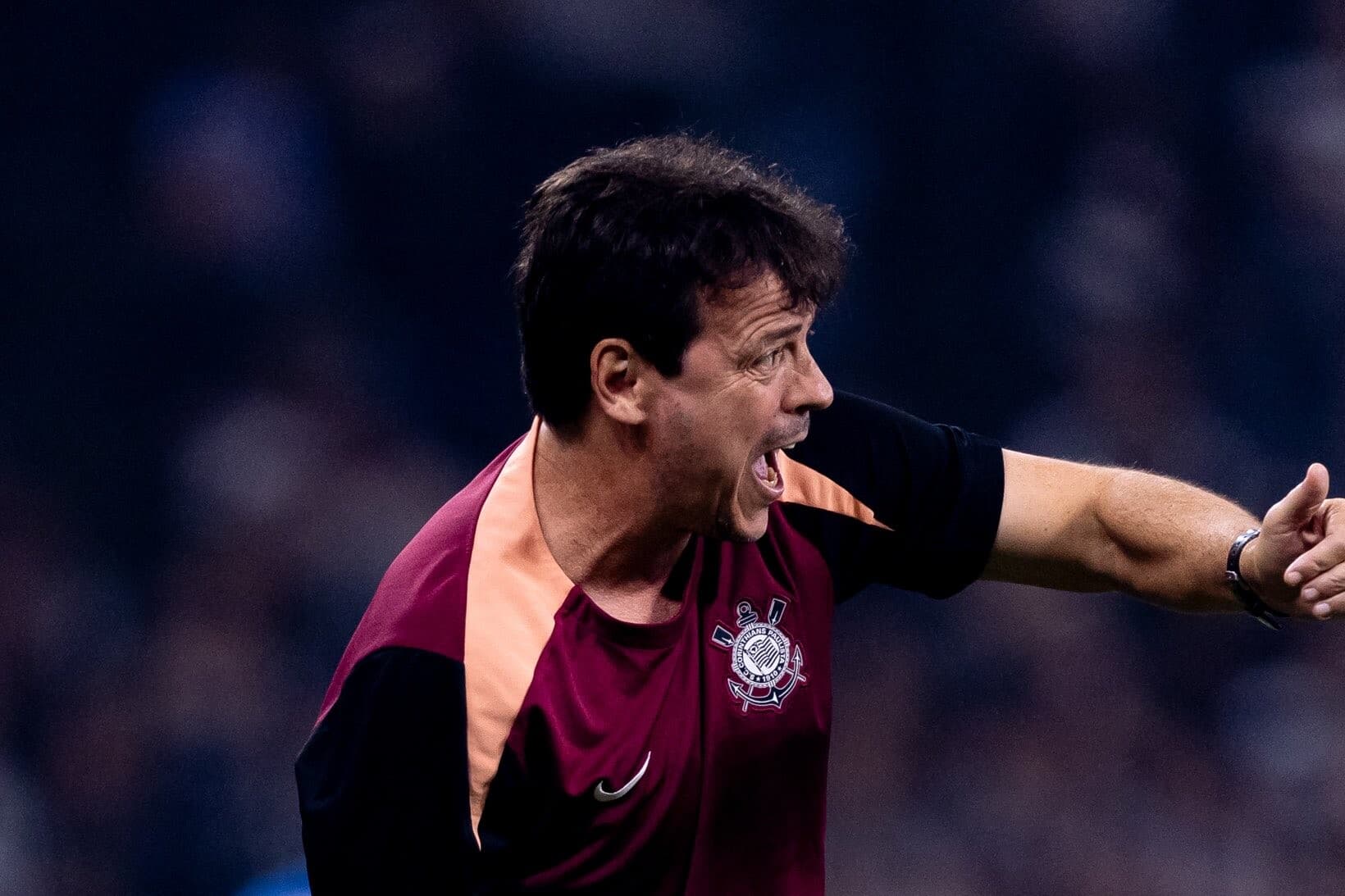 Fernando Diniz critica gramado do Barradão após empate entre Vitória e Corinthians