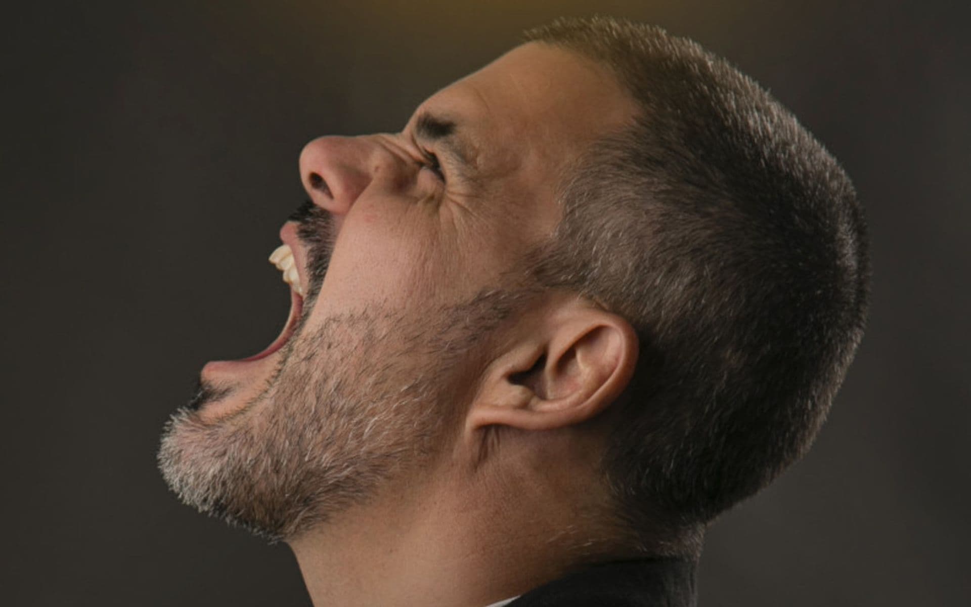 Juliano Cazarré pode receber honraria na Alerj por curso sobre masculinidade