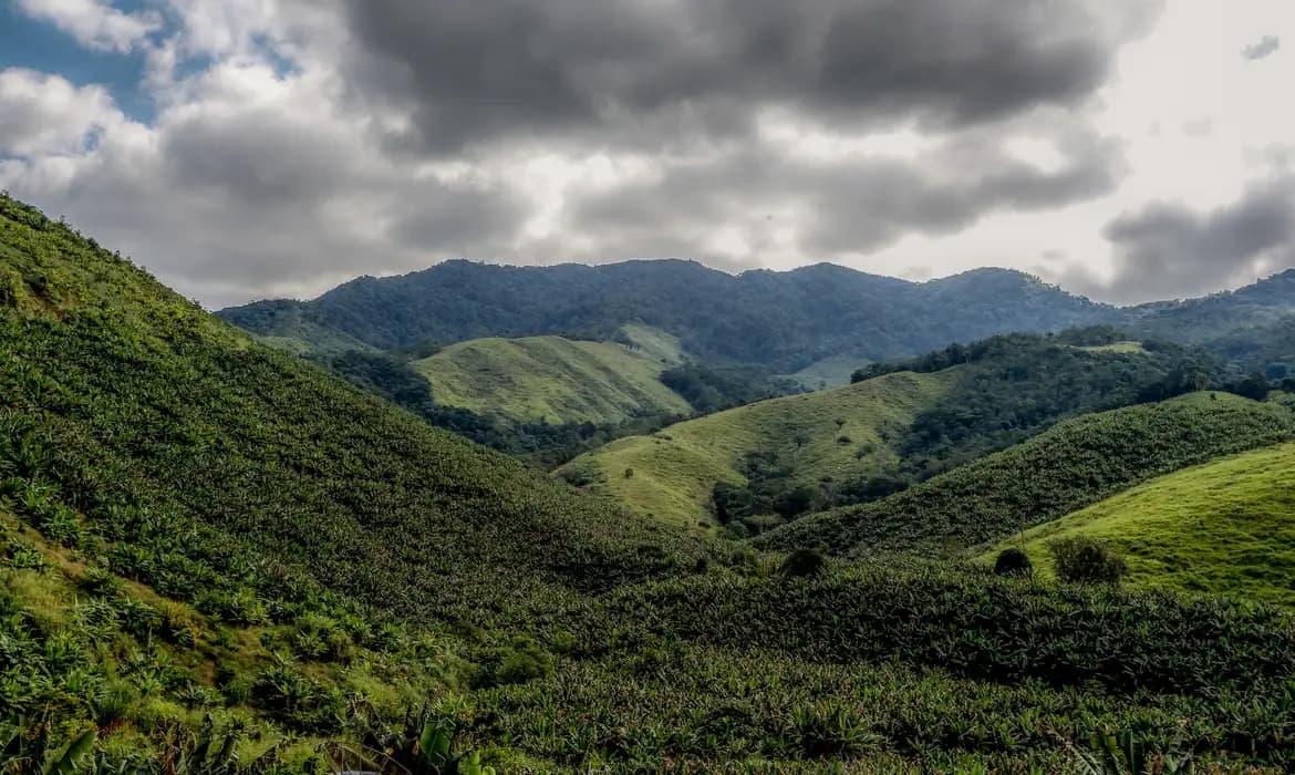 Brasil impulsiona queda de 36% no desmatamento global de florestas tropicais
